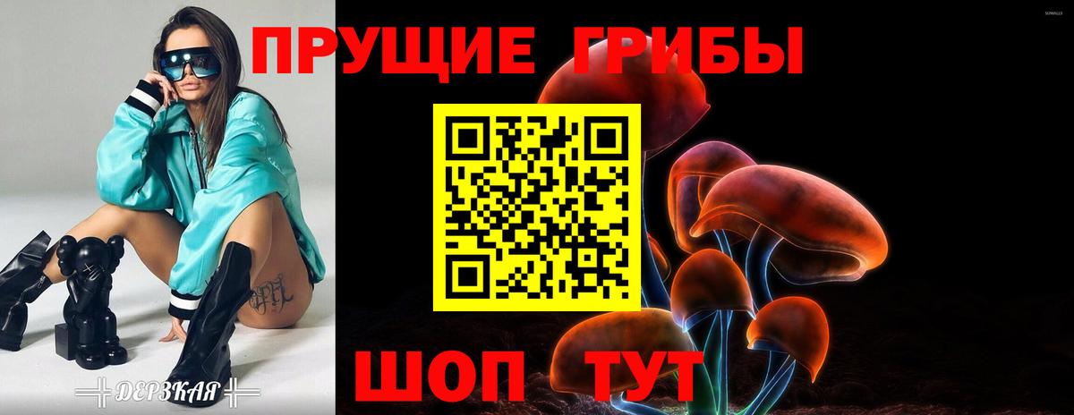 Нефтеюганск  Псилоцибиновые грибы MAGIC MUSHROOMS  Псилоцибиновые грибы Psilocybine cubensis  Вход с VPN 